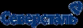 Severstal_Logo_CYR_Blue_RGB.png