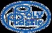 Без названия (1).png